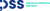 DSS - Digital and Software Solutions Logotype