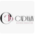 Cadamy Business Consulting Logotype
