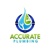 Accurate Plumbing Services Logotype