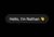 Nathan Wilson Logotype