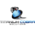 Titanium Cobra Solutions Logotype