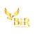 Bir Luxury Landing Logotype
