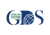 Global Data Systems Logotype