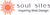 Soul Sites Web Co Logotype