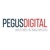 Pegus Digital Logotype