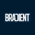 BRADIENT Logotype