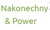 Nakonechny & Power Chartered Accountants Ltd Logotype
