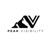 Peak Visibility Logotype