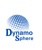 Dynamo Sphere Digital Solutions Logotype