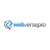 Web Verse Pro Logotype