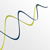 Selking Performance Group Logotype