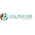 Brainstorm Accounting and Bookkeeping Logotype