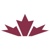 Canadian Christian News Service Logotype