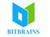 Bitbrains Technology Private Limited Logotype