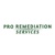 Pro Remediation Services Logotype