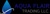 Aqua Flair Logotype