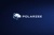 Polarzee Logotype