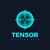 Tensor Solution Tech Logotype