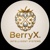 BerryX Systems Logotype
