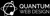 Quantum web Design Logotype