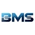 Blue Mojo Solutions Pvt. Ltd. Logotype