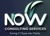 Now Consulting Services Inc Logotype