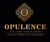 Opulence Accounting and Bookkeeping LLC Logotype
