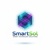 Smart Technology Solutions Logotype