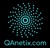QAnetix Logotype
