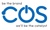Catalyst Online Solutions Logotype