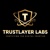 TrustLayerLabs Logotype