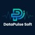 Datapulse Soft Logotype