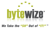 ByteWize, Inc. Logotype
