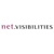 Net Visibilities Logotype