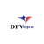 Daniel P. Vigilante CPA's & Profitability Consultan Logotype