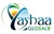 YashaaGlobal Logotype