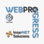 WebProgress.Net, Inc. Logotype