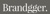 Brandgger Logotype