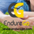 EndureGo Logotype