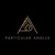 Particular Angles Logotype