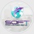 SoftManagement Logotype