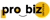 ProBiz Services sp z o.o. Logotype