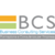 Business Consulting Services Logotype