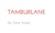 Tamburlance Logotype