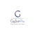 Gigsoft Pro Logotype