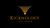 Kicknology Solutions Logotype