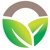 Balochistan Green Logotype