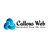 Callous Web Private Limited Logotype