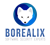 Borealix Logotype