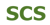Sanear Consulting Solutions Logotype